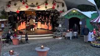 Chor und Volkstanzgruppe KremsLerchenfeld  Kittenberger Adventzauber 2014 [upl. by Lleroj655]