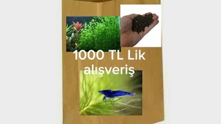 1000 TL lik alışverişte neler aldık [upl. by Elleina]