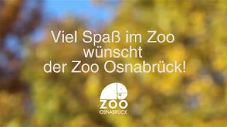 Jahreskarte 2018 im Zoo Osnabrück [upl. by Themis]