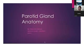 Parotid Gland Anatomy  Anatomy  Medical [upl. by Shu]