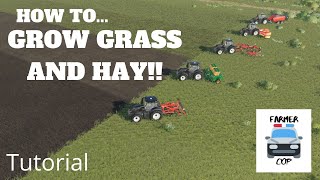 How to Grow Grass and Hay in Farming Simulator 19 [upl. by Whitaker]