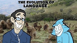 The Evolution of Language and Primate Communication with Stuart Semple [upl. by Nediarb276]