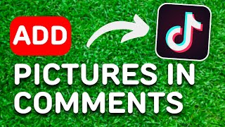 How to Put Pictures in TikTok Comments 2023  Full Guide [upl. by Ylrehs710]