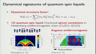 Frank Pollmann  Dynamical Signatures of Quantum Spinful Bosonic Quantum Hall Systems [upl. by Nwahsem]