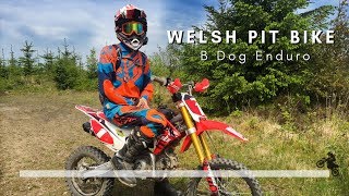 Best of Welsh Pit Bike  140 Race [upl. by Jarl]