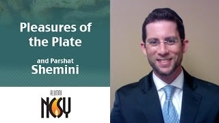 Pleasures of the Plate amp Parshat Shemini  Rabbi Phil Karesh Midwest NCSY [upl. by Eolcin]