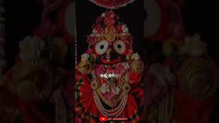 ⭕‼️⭕JAY JAGANNATH 🙏🙏AruchiHelakiPrabhu  new odia jagannath Bhajan status video [upl. by Ulberto209]