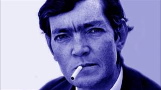 Julio Cortázar  Lejana [upl. by Nohpets]