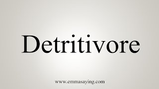 How To Say Detritivore [upl. by Jenilee]