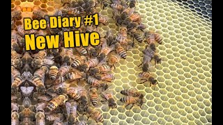 Honey Bee Diary 1 with Stan the Bee Man  Bee Keeping [upl. by Monty]