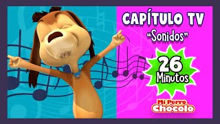 MI PERRO CHOCOLO  CAPÍTULO TV 26 MINUTOS SONIDOS CANCIONES INFANTILES [upl. by Etnom242]