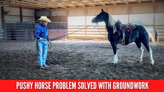 DC Pushy Horse Groundwork Solution [upl. by Suzanne]