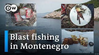 How fishers in Montenegro illegally use blast fishing  Focus on Europe [upl. by Branscum]