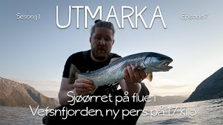 Sjøørret på flue i Vefsnfjorden ny pers på 17 kilo  Utmarka S01E07 [upl. by Anwahsed]