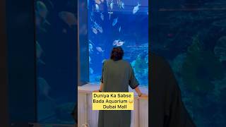 Duniya Ka Sabse Bada Aquarium 😳  Dubai Trip part 7  vlogs shorts shortvideo [upl. by Ing]