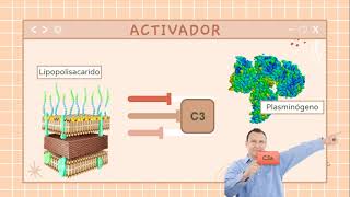 video 2 AGGREGATIBACTER ACTINOMYCETEMCOMITANS [upl. by Naval]