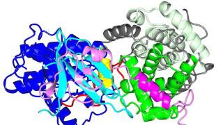 Cyclin Dependent Kinases and their inhibitors with sound [upl. by Trilbi]