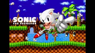 TAS White Sonic 1 Remade  Speedrun [upl. by Hsenid]