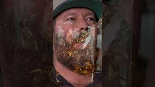 Bert Kreischers Inspirational Booze Speech [upl. by Elvyn]