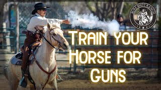 Bombproof you horse Gun Training amp Desensitization for horses [upl. by Nyrual]