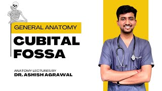 Cubital fossa  Upper Limb Anatomy  First Year MBBS  Anatomy lectures by Ashish [upl. by Eniarda]