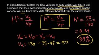 How to Calculate Narrow Sense Heritability [upl. by Argile]