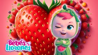 CORAZÓN de FRESA 🍓 TUTTI FRUTTI Bebés Llorones Lágrimas Mágicas 💕 CAPÍTULOS COMPLETOS en español [upl. by Anatsirhc]