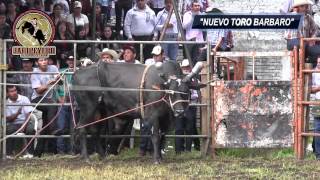 ¡¡LO MEJOR DEL JARIPEO Rancho La Mision en Santa Maria De Guido Michoacan [upl. by Westberg]