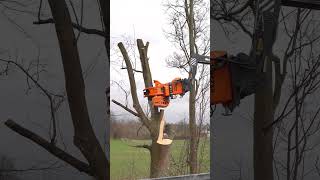 Der Woodcracker CS750 smart im Einsatz 🙌🏽🤝🏽 trending viral youtubeshorts foryou baumdienst [upl. by Eninaj425]