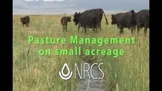 Small Pasture Management cc [upl. by Wendalyn]