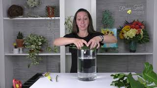 Leaf Liner for Vase Arrangements Framing Floral Techniques Companion Video [upl. by Mohr]