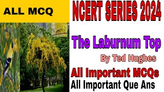 the laburnum top mcq  the laburnum top class 11 mcq  the laburnum top question answer [upl. by Aidekal10]