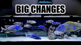 125 Gallon African Cichlid Tank  Replacing Aquarium Substrate [upl. by Liebermann]