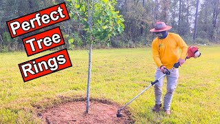 How To Create a PERFECT Tree Ring Every Time [upl. by Sancho]