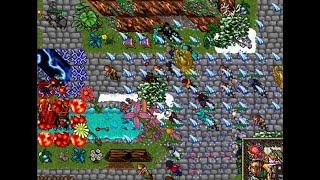 CRAZIEST TIBIA SERVER IN THE WORLD  ONLINE FOR 20 YEARS [upl. by Reviel]