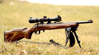 Top 5 Best 270 Winchester Rifles In The World [upl. by Nohsauq]