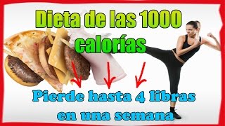 Dieta de 1000 Calorias  Dietas EFECTIVAS para ADELGAZAR [upl. by Kopaz]