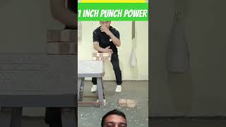 Power of kungfu punch martialarts kungfu [upl. by Ardyth]