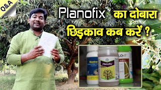 Planofix का दोबारा छिड़काव कब करें planofix second spray  Comments Answer AnilRamanVillager [upl. by Olga]