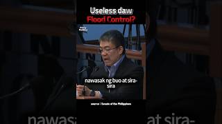 USELESS DAW FLOOD CONTROL FloodControl DPWH BBM [upl. by Adhern]