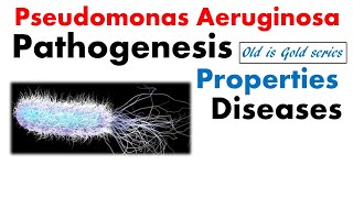 Pseudomonas aeruginosa microbiology  pathogenesis infection and treatment [upl. by Kimmy]