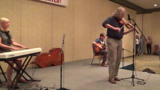 25 Mickey Solty Open Div IL State Fiddle Contest 2016 [upl. by Annaor]