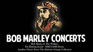 Bob Marley and The Wailers  Im Hurting Inside NASHSIMS Demo [upl. by Mossolb]