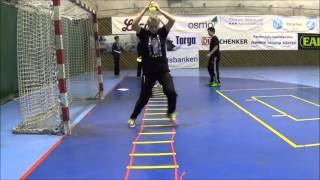 Handball Goalkeeper Training  Advanced Ladder Drills [upl. by Ahsrav]