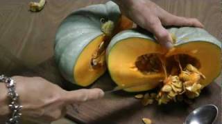 Blue Pumpkin  Jarrahdale  from seed to table [upl. by Atter]