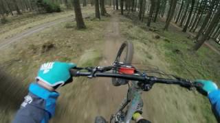 Bikepark Beerfelden  slower Tracks  XC  ENDURO  subtitled [upl. by Vtehsta571]