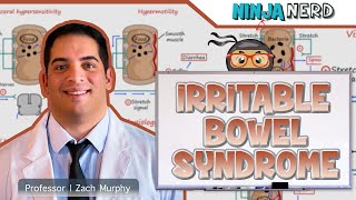 Irritable Bowel Syndrome IBS  Clinical Medicine [upl. by Merrick]