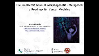 The Bioelectric Basis of Morphogenetic Intelligence a Roadmap for Cancer Medicine by Michael Levin [upl. by Nerrol792]