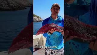 Giant Tuna Fishing A Thrilling Chase shorts [upl. by Onirefes]