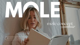 mole concept  molarity chemistry class 11 [upl. by Danette]